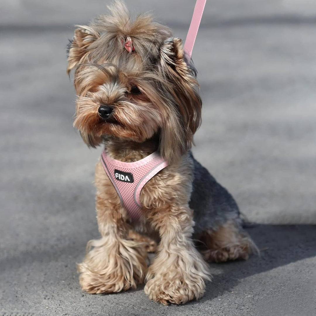 Cat Harness and Leash Set for Walking Kitten and Puppy, Escape Proof Kitten Harness with Breathable Lightweight Soft Mesh, Adjustable Reflective Step-In Design. (XXXS, Pink)