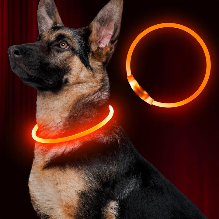 Led Dog Collar,  USB Rechargeable Flash Dog Necklace Light, Pet Safety Collar Makes Your Beloved Dogs Be Seen at Night for Small Medium Large Dogs(Orange)