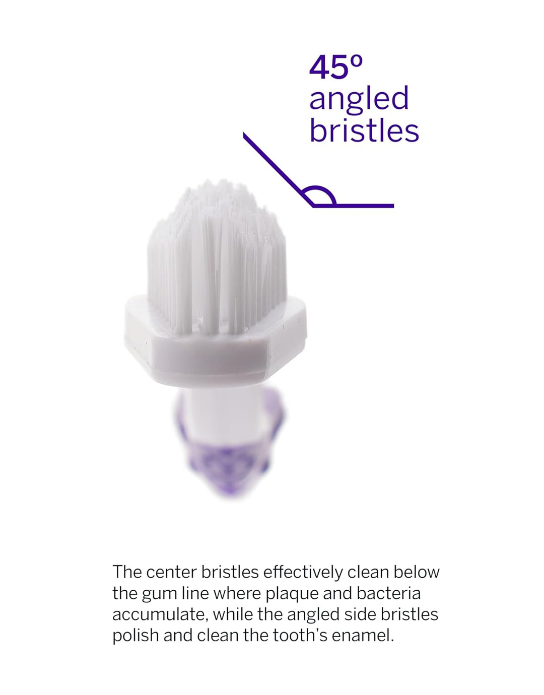 Professional Pet Toothbrush - Patented 45 Degree Cat &amp; Dog Toothbrush for Small &amp; Large Animals - Pet Accessories for Dental Care - VOHC Approved Teeth Cleaning - Dog Toothpaste Not Included