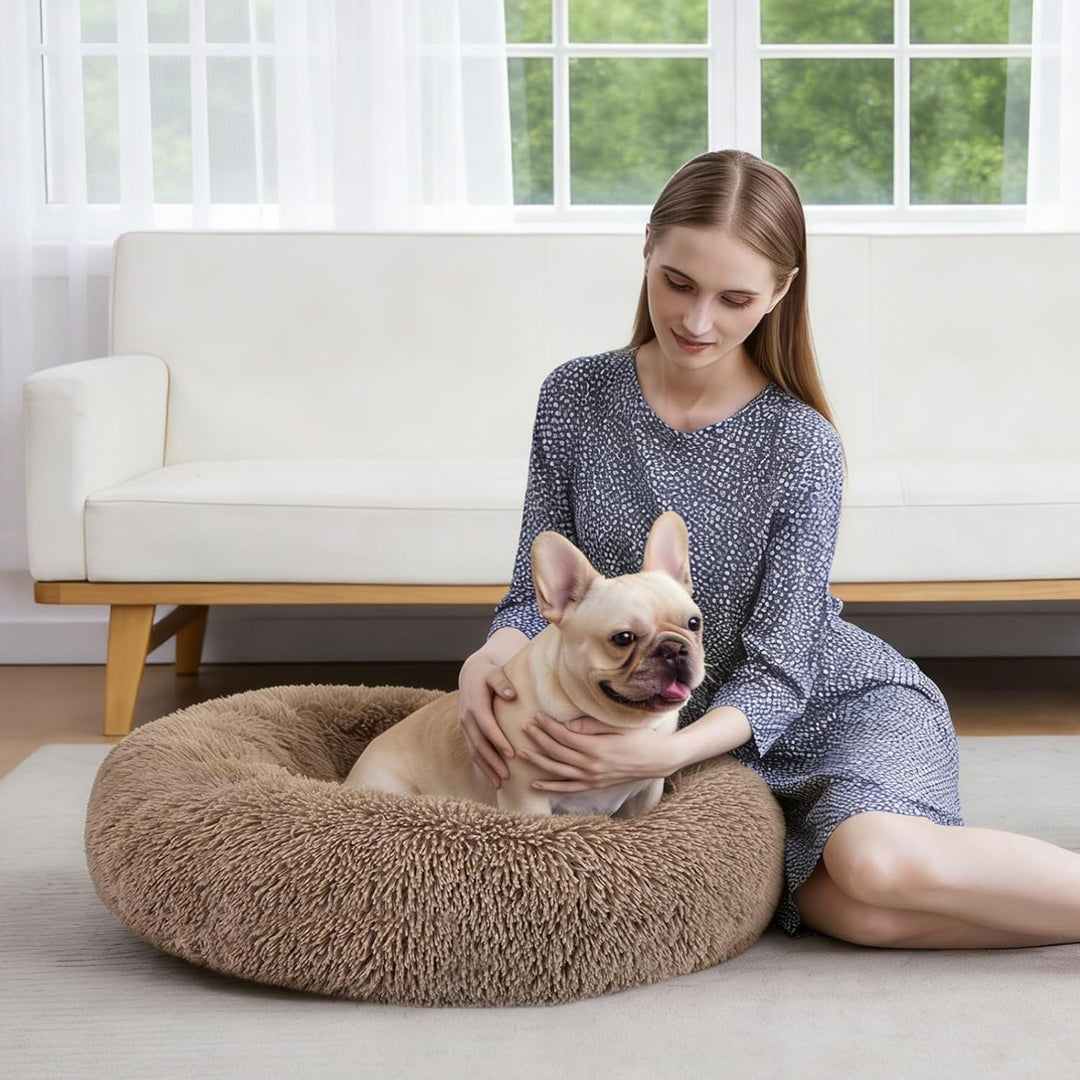 Orthopedic Dog Bed Comfortable Donut Cuddler round Pet Beds Ultra Soft Washable Dog and Cat Cushion (20&