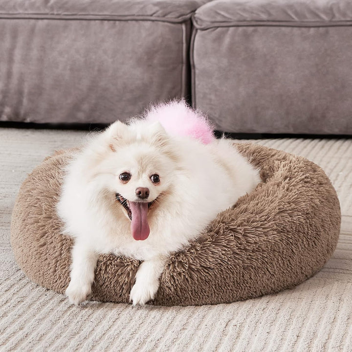 Orthopedic Dog Bed Comfortable Donut Cuddler round Pet Beds Ultra Soft Washable Dog and Cat Cushion (20&