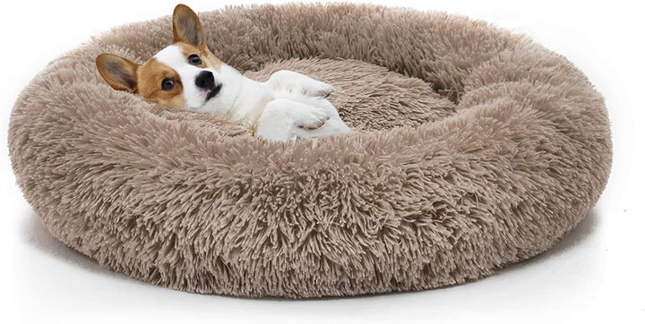 Orthopedic Dog Bed Comfortable Donut Cuddler round Pet Beds Ultra Soft Washable Dog and Cat Cushion (20&